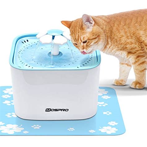 Top 10 Battery Operated Pet Water Fountains Of 2021 Best Reviews Guide