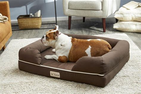 14 Of The Best Dog Beds