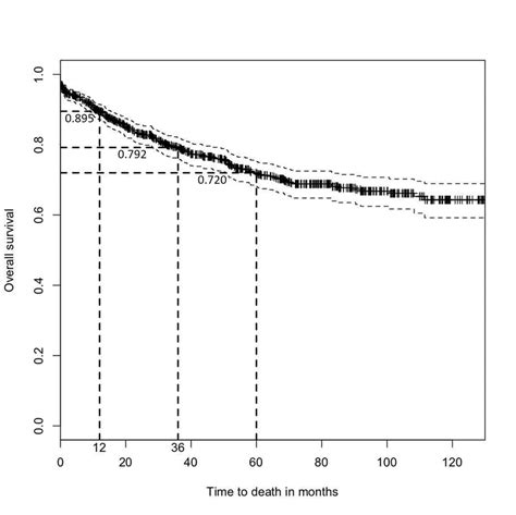 Kaplan Meier Overall Survival Curve With 95 Confidence Interval Among