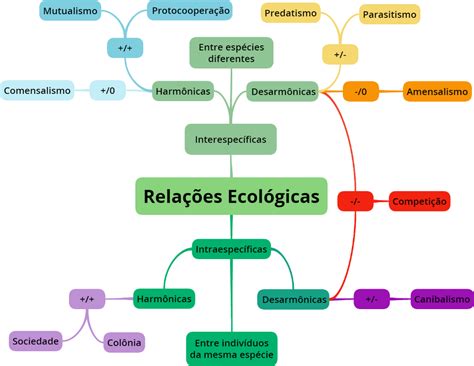 Identifique As Relações Ecológicas Apresentadas Na Representação Esquemática