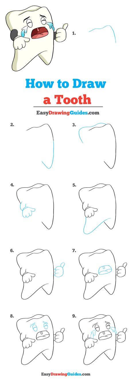 How To Draw A Tooth Really Easy Drawing Tutorial In 2020