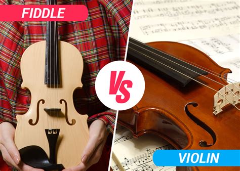 Fiddle Vs Violin Best Difference