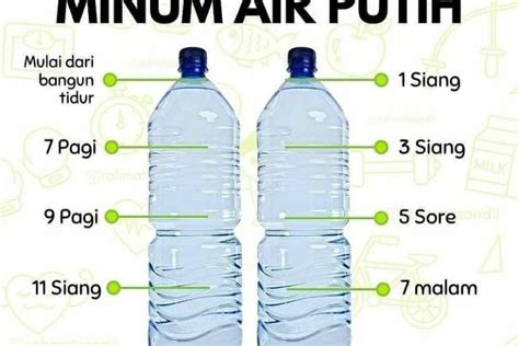 Khasiat Minum Air Putih 3 Liter Joe Jackson