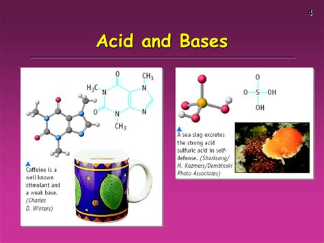 The Chemistry Of Acids And Bases Presentation Chemistry