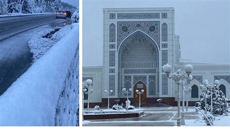 Снег выпал в Шымкенте, Таразе, Ташкенте, Бишкеке и Душанбе | NUR.KZ
