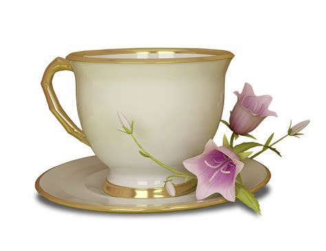 fancy tea cup png - Clip Art Library