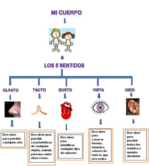 Toca la imagen para indicar con que parte del cuerpo usas el sentido del gusto. cuadros comparativos de los sentidos: Ejemplos e imágenes ...