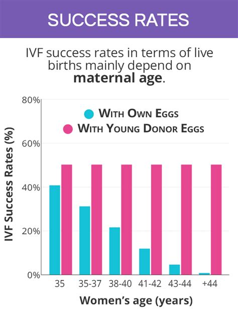 Maximum Age For Ivf With Donor Egg