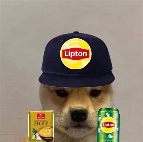 Пин от пользователя Clapped на доске Dog With Hat Собачки Собаки Мемы