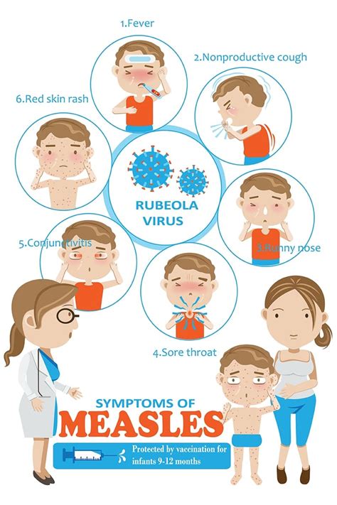 Measles Mumps Rubella Mmr Titers Antibody Immunity Test Smartly Labs