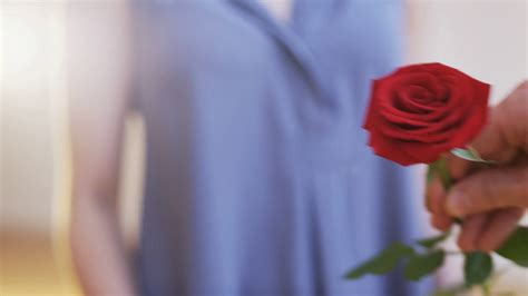 Man Gives Red Rose To Woman Stock Footage Sbv 310834313 Storyblocks