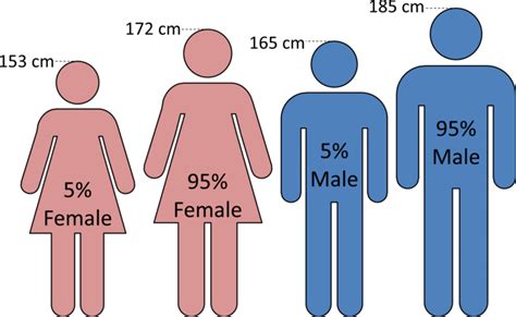 Percentile And Percentile Male And Female AllAboutLean Com