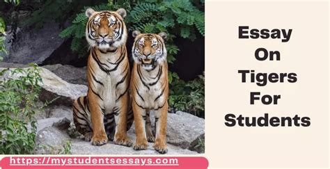 Essay On Tigers 10 Lines Short Essay For Students Student Essays