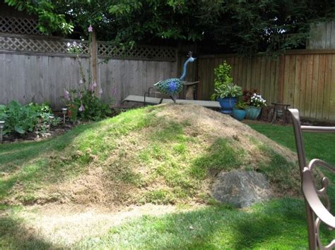 With mounds planted in turf grass, the maximum slope ratio is expressed in feet such as1:4, which means the slope goes up one foot over a four foot span. What Are Berms For: Tips For Using Berms In The Landscape ...