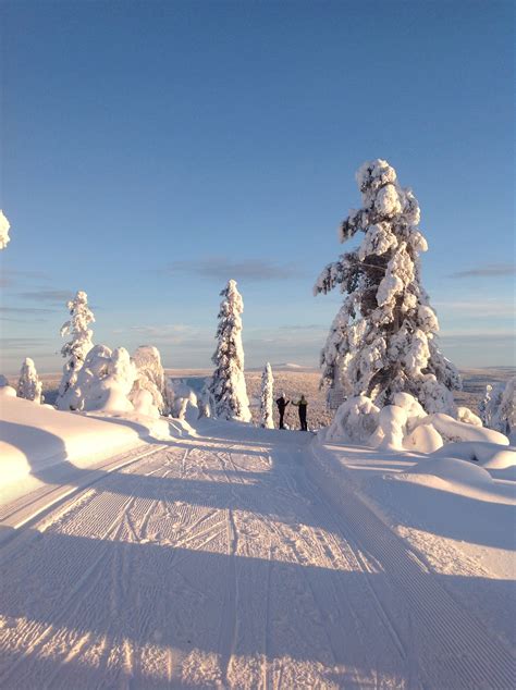 Levi Finland Photo Credit Virpula1 Finland Snow Pictures