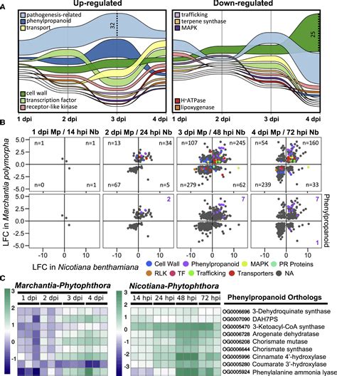 Conserved Biochemical Defenses Underpin Host Responses To Oomycete