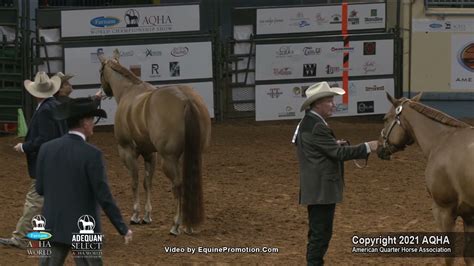 2021 Aqha Select 3 Year Old Geldings Youtube