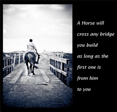 Horse Best Friend Quotes Quotesgram