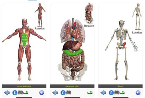 10 Terrific Human Body And Anatomy Websites For Kids Hubpages