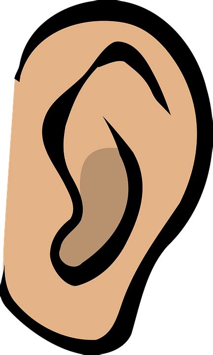Free Vector Graphic Ear Listen Hear Gossip Sound Free Image On