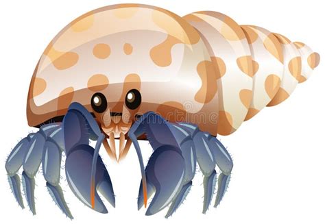 Cartoon Crab Hermit Stock Illustrations 534 Cartoon Crab Hermit Stock