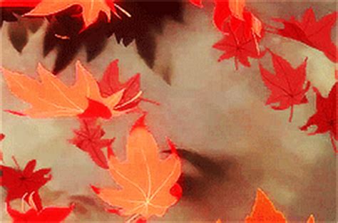 You can choose the most popular free falling leaves gifs to your phone or. Health Care Tips to Overcome this Autumn Dumpiness | DoMyPapers.com