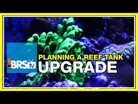 Upgrading Reef Tank Aquatic Videos