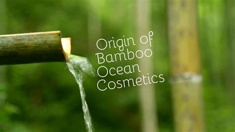 Origin Of Bamboo Ocean Cosmetics Youtube