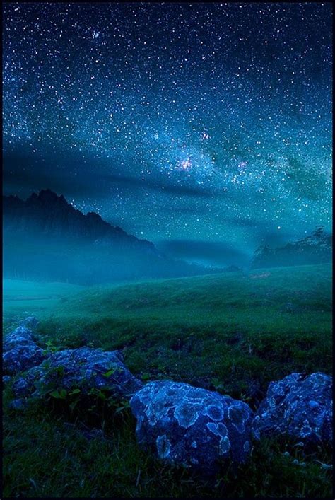 Dreamy Starry Night With Blue Flowers Beautiful Nature Beautiful Sky