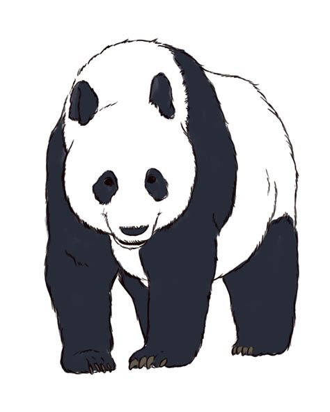 Free Panda Outline Download Free Panda Outline Png Images Free