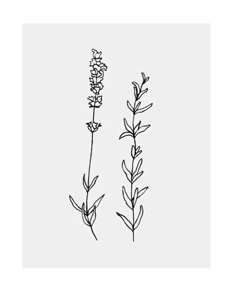 We did not find results for: Pin by marjerebel on A R T | Rosemary tattoo, Lavender ...