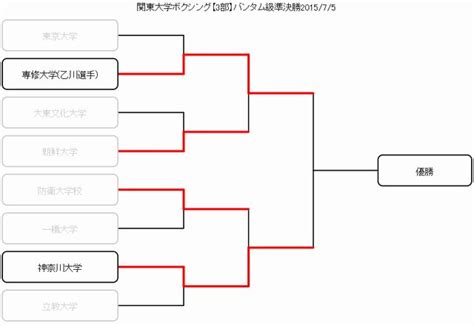 Download 16 Team Double Elimination Bracket Gantt Chart Excel Template