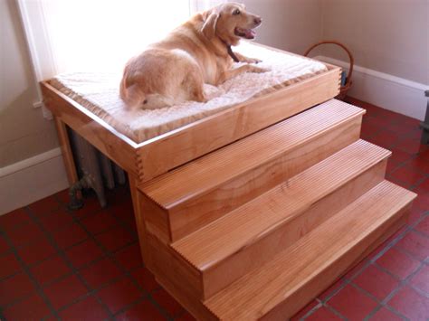 Elevated Dog Bed By Anthony Saporiti At