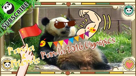 Panda And Friends Ep6 Panda 2016 Olympics Ipanda Youtube