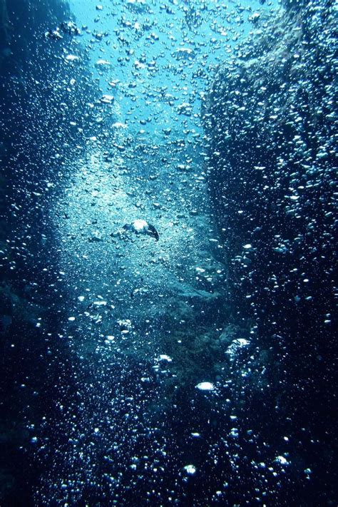 Ocean Bubbles Wallpapers Top Free Ocean Bubbles Backgrounds