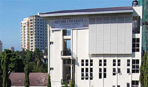 Tanzania Universities Apply And Study In Universities