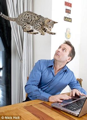 Joey shows the friends his new apartment. Yikes! My girlfriend's jealous cat has gone to war to get ...