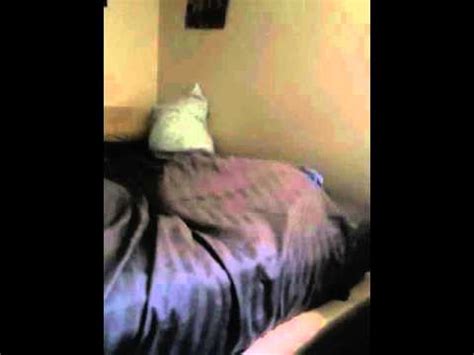 Cat Gets Stuck Under Bed Sheets Youtube