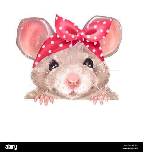 Cute Cartoon Rat Isolated On White Background Stock Photo Alamy