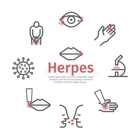 herpes symptoms treatment flat icons set stock vector illustration of infectious hospital