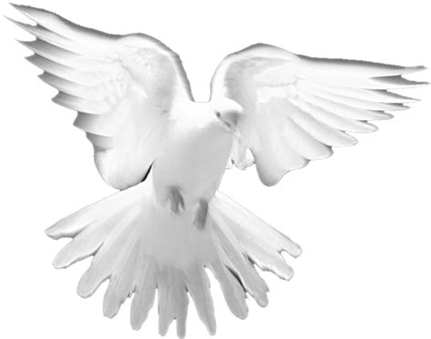 Holy Spirit Activate Png Free Unlimited Png Download