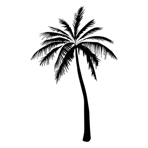 Palm Tree Silhouette In Black Transparent Png And Svg Vector File