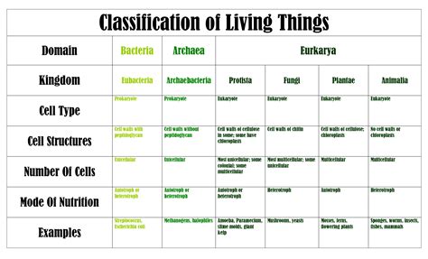 Pin By Cynthia Williford On Postgradlife Classification Of Living