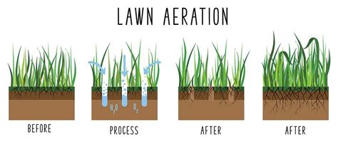 Fall Aeration And Overseeding 101 A Lawn And Landscape Blog