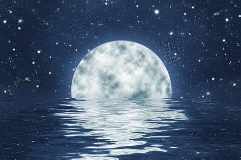 Pleine Lune Photos Et Images Libres De Droits Istock
