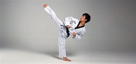 Taekwondo Kicking Taekwondo Wiki Fandom