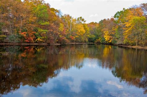 Lake And Trees In Autumn Stock Image Image Of Colors 6021447