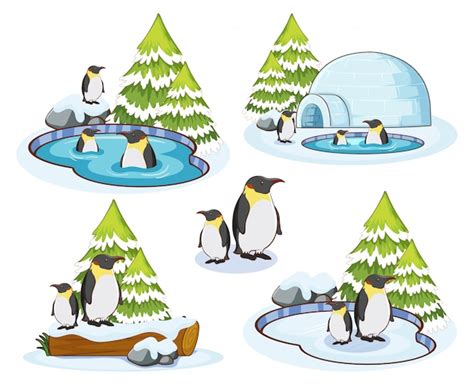 Free Vector Penguins In Snow Winter