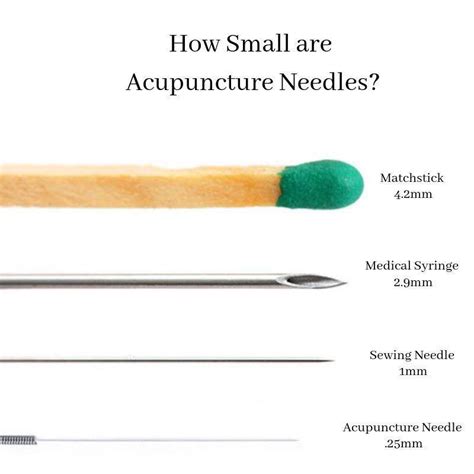 The Ultimate Anatomy Of Acupuncture Needles Guide Presented By Lierr