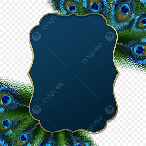 peacock border wallpaper